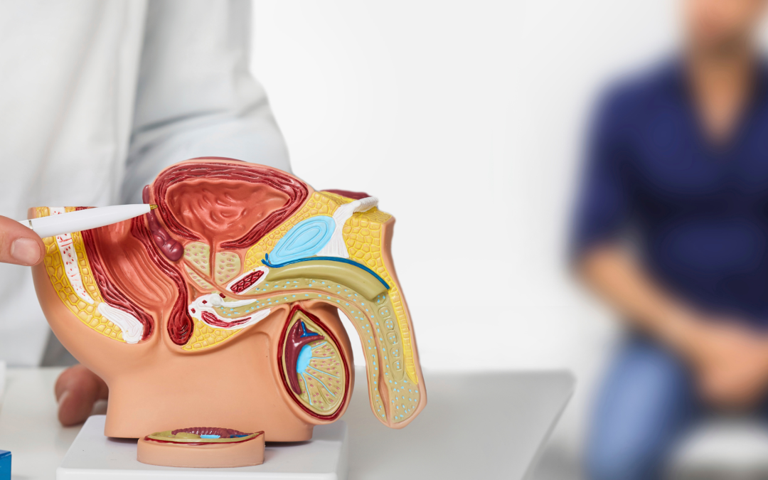 Risonanza magnetica: l’importanza di controlli completi per la prostata e non solo