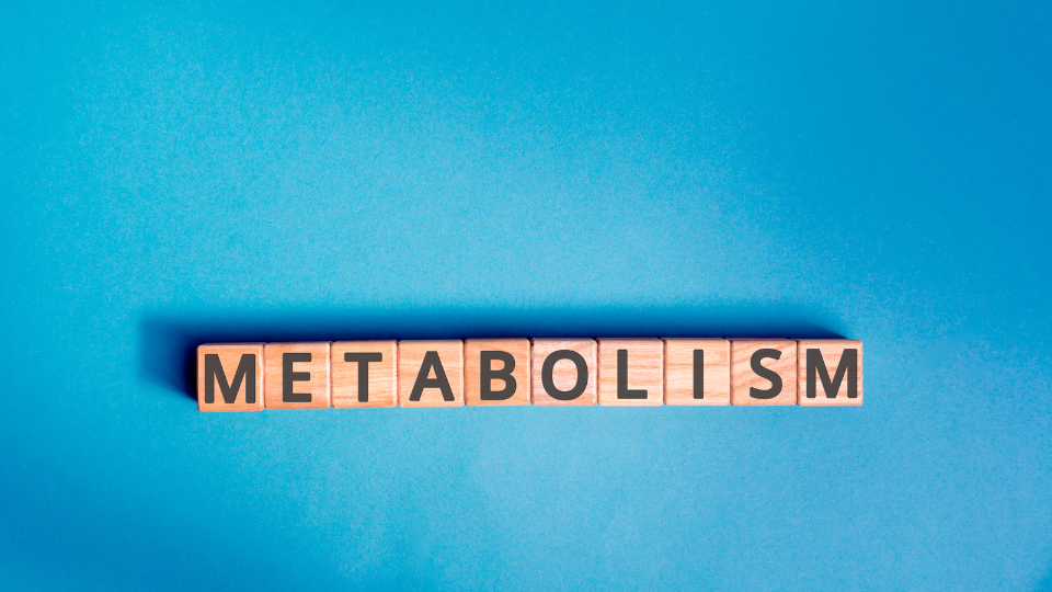 Metabolismo osseo: come tenerlo sotto controllo